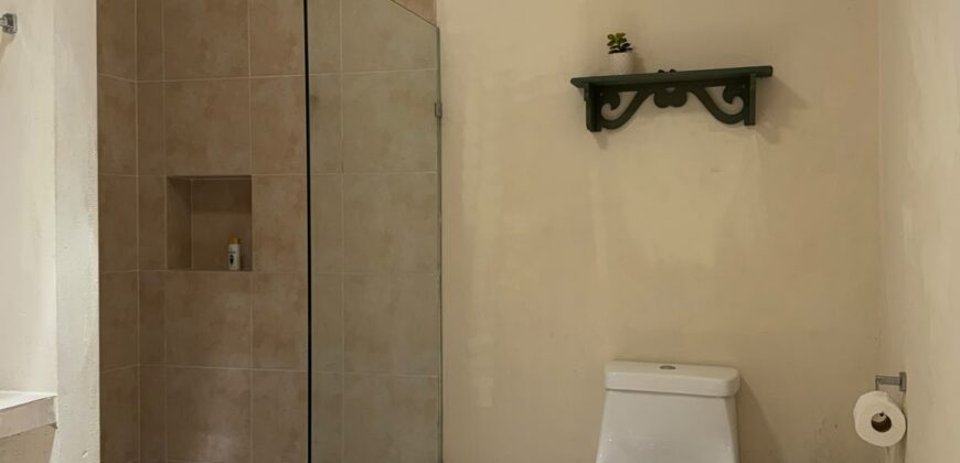 Depatamento Rosa